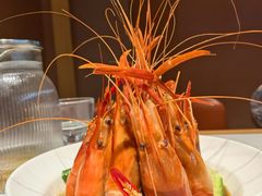 -杨氏青龙虾·羊蝎子(金盛路总店)