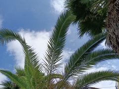 -青鱼湾水上乐园