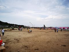 -碧海金沙
