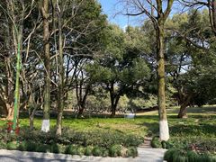 -杭州植物园