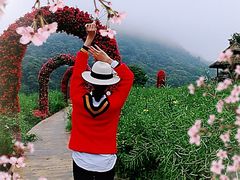 -广州市石门国家森林公园