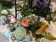 -浅深Cheersum(曹杨店)