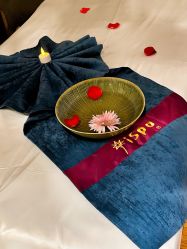 点击看大图 -iSpa