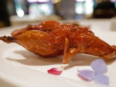 -翠府(翠湖北路店)