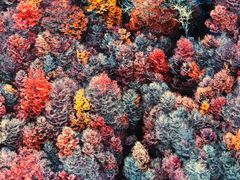 -罗红摄影艺术馆