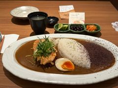 -CURRY YA 熟成咖哩專門店(深圳湾万象城店)