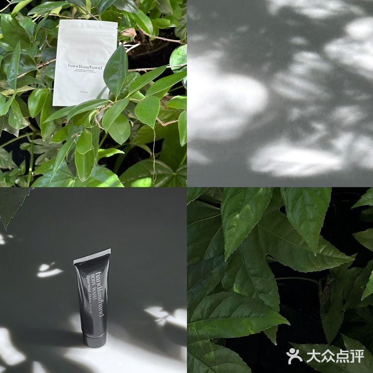在上海 恋上绿薄荷味儿的夏天🍃