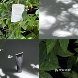 在上海 恋上绿薄荷味儿的夏天🍃