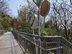 -佛山华盖山公园