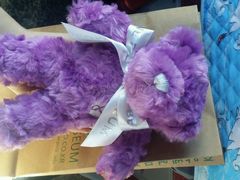 android_upload_pic-济州岛泰迪熊博物馆