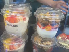 -Wagas沃歌斯(汇智店)