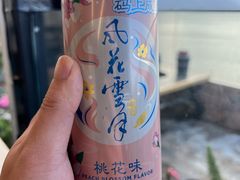 -野菌皇海景野生菌火锅(滨海大道店)