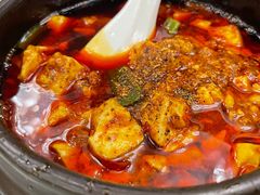 -陈麻婆豆腐总店