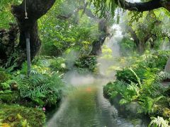 -Chom Cafe and Restaurant