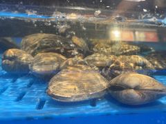 -海底捞火锅(长宁路龙之梦店)