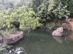 -抚仙湖禄充风景区