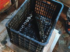 -抚仙湖生态石锅鱼野生菌(告庄店)