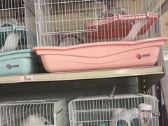 -钓仓鼠(洋桥北里小区店)