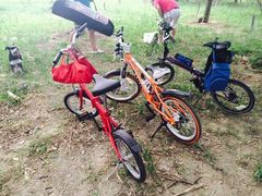 -永定河休闲森林公园