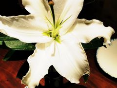 店内环境-Ambra Haus琥珀屋精酿餐厅(宝山店)