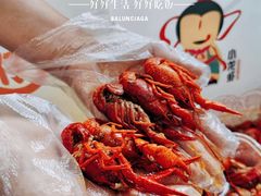 -簋街仔仔小龙虾(总店)