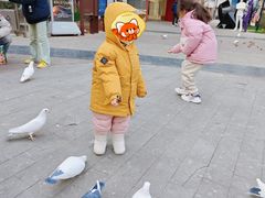 -中粮·祥云小镇