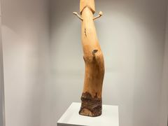 -冰岛阴茎博物馆