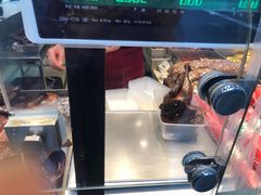 -狗撵鸭(泰山公寓店)