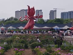 -曹州牡丹园