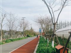 -前小桔亲子创意农场·草莓采摘·露营烧烤