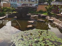 -参仙谷生态旅游度假区