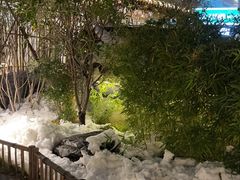-西郊竹园甲鱼面(老一中店)