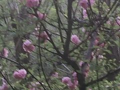 -水磨沟公园