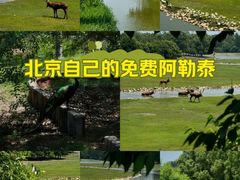 -南海子公园