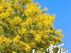 -白石龙音乐公园
