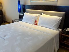 -惠州康帝国际酒店