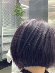 -Hair Code芭曲发型