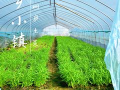 -小乡小镇·传承桐庐土菜·老板亲自烧的菜