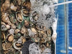 -深海聚汇·牛榴宴·自助料理(江宁万达店)