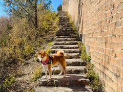 -蟠龙山长城景区