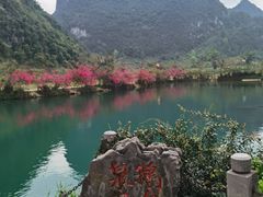 -靖西鹅泉风景区