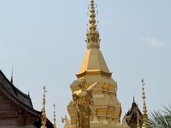 -西双版纳傣族园