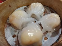 虾饺-捷信牛奶甜品世家(五道口店)