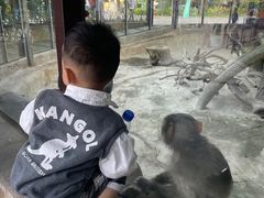 -灵玲国际马戏城