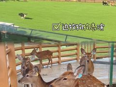-盈香心动乐园