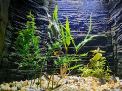 -上海海洋水族馆