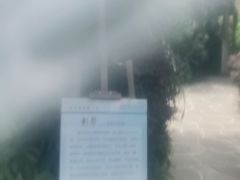 -腾冲洞山温泉村
