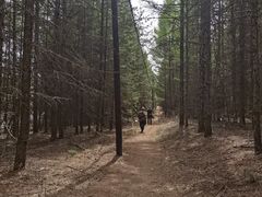 -帽儿山国家森林公园