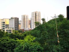 -鲤鱼塘农家山庄