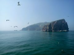 -长岛万鸟岛